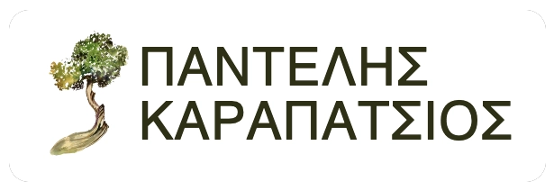 Π. ΚΑΡΑΠΑΤΣΙΟΣ ΜΟΝΟΠΡΟΣΩΠΗ Ι.Κ.Ε.
